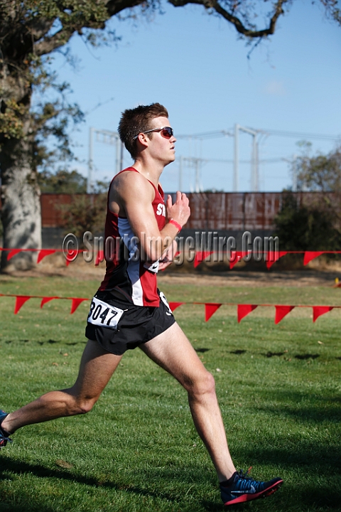 2014StanfordCollMen-238.JPG - College race at the 2014 Stanford Cross Country Invitational, September 27, Stanford Golf Course, Stanford, California.